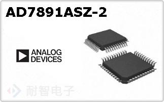 AD7891ASZ-2